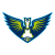 Dallas Wings
